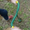Garden Fork4
