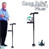 Cane Safe Plus